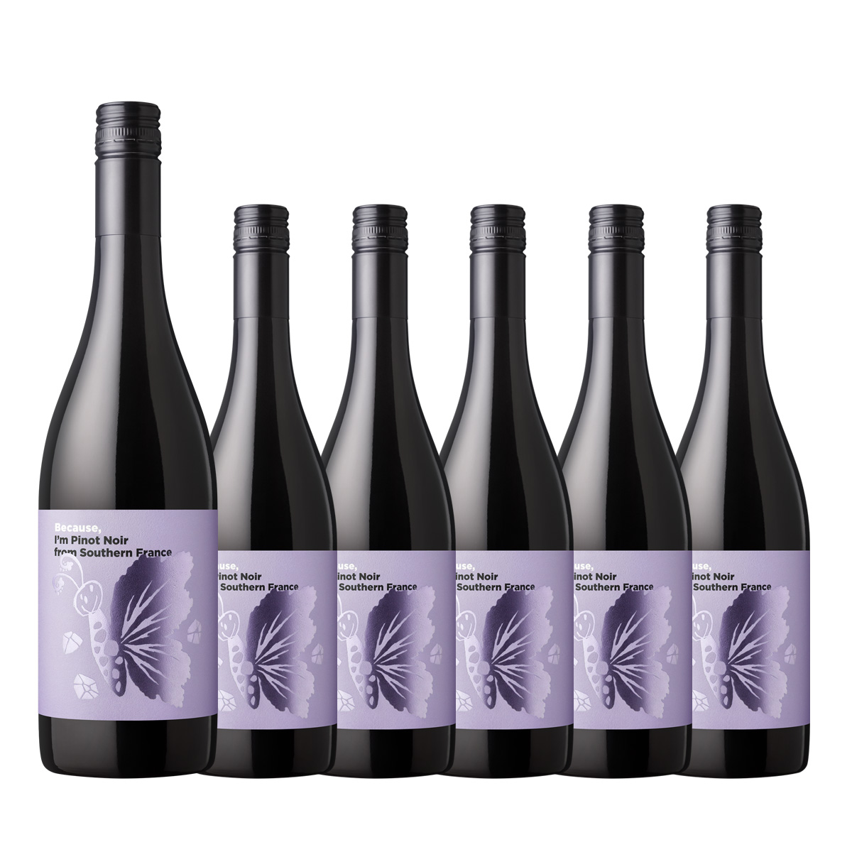 【お買い得な6本パック 30%OFF♪】『ビコーズワイン』ピノ・ノワール 南フランス(赤750ml)