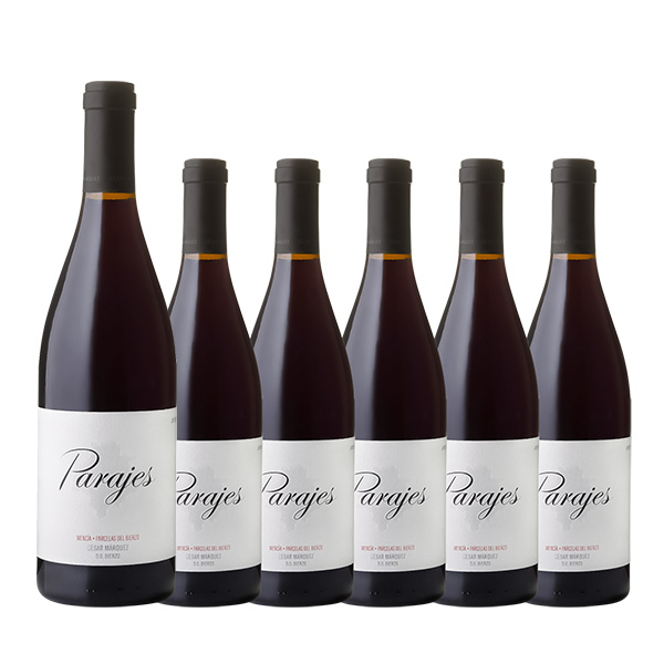 【お買い得な6本パック 今なら30%OFF♪】セサール・マルケス  パラヘス・デル・ビエルソ・ティント(スペイン ビエルソ産赤ワイン750ml)
