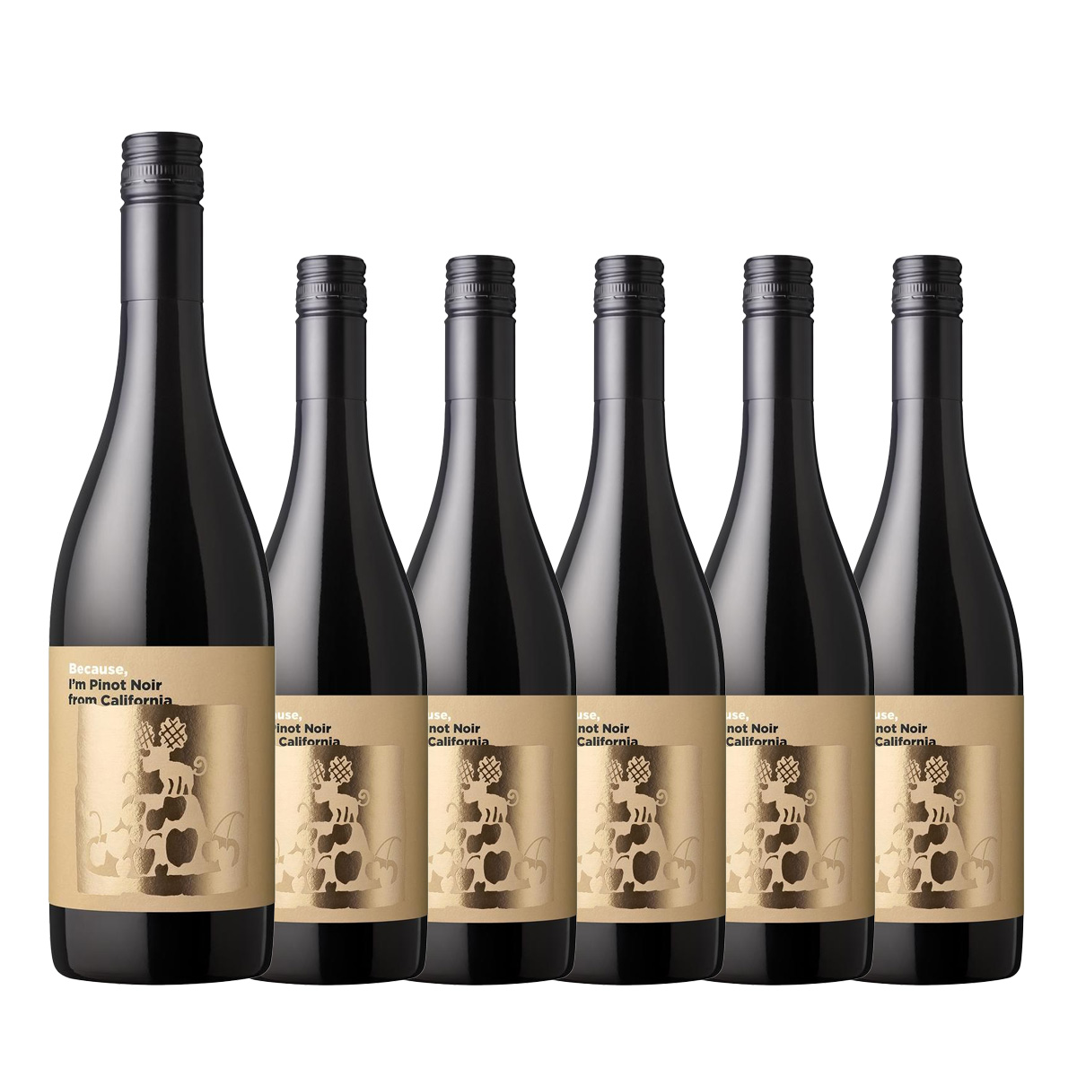 【お買い得な6本パック 20%OFF♪】『ビコーズワイン』ピノ・ノワール カリフォルニア(赤750ml)