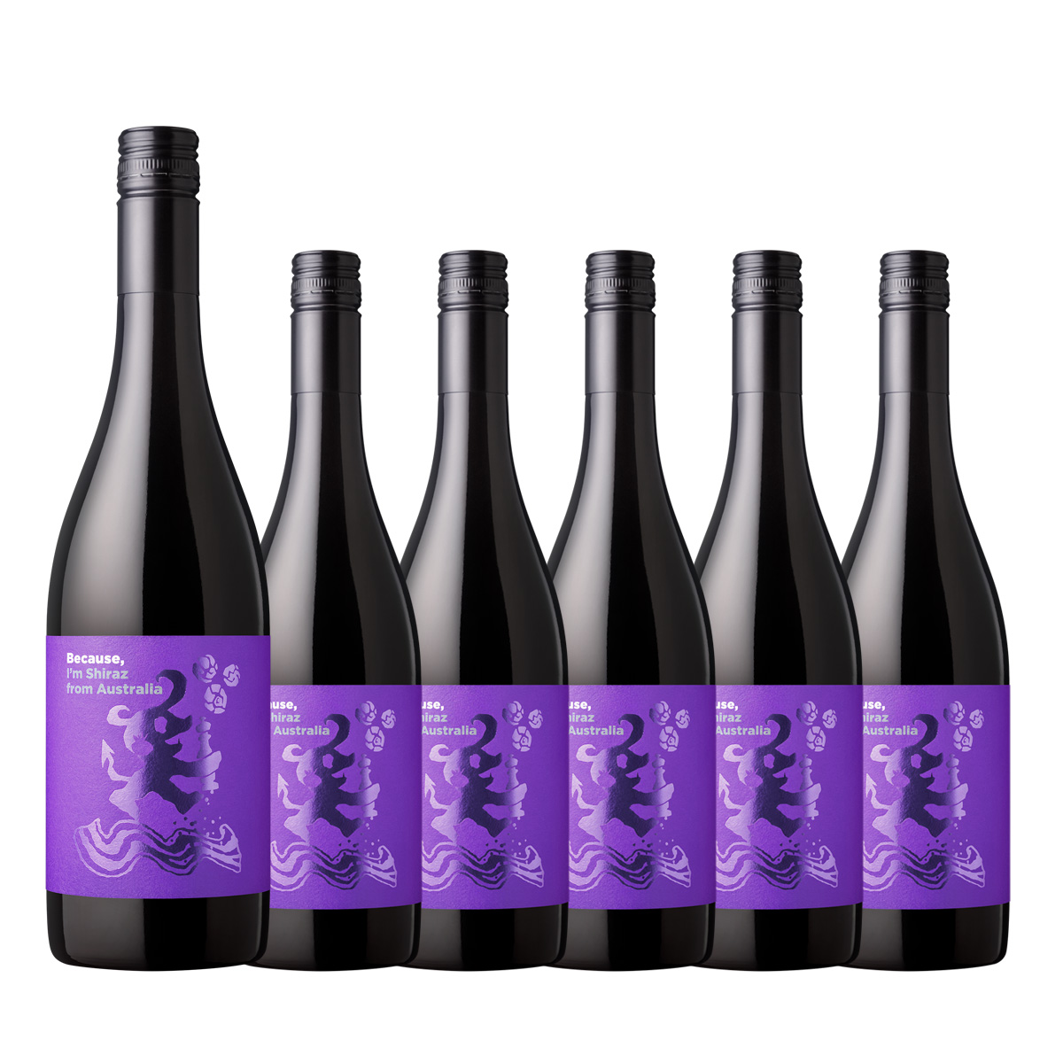【お買い得な6本パック 30%OFF♪】『ビコーズワイン』シラーズ  オーストラリア(赤750ml)