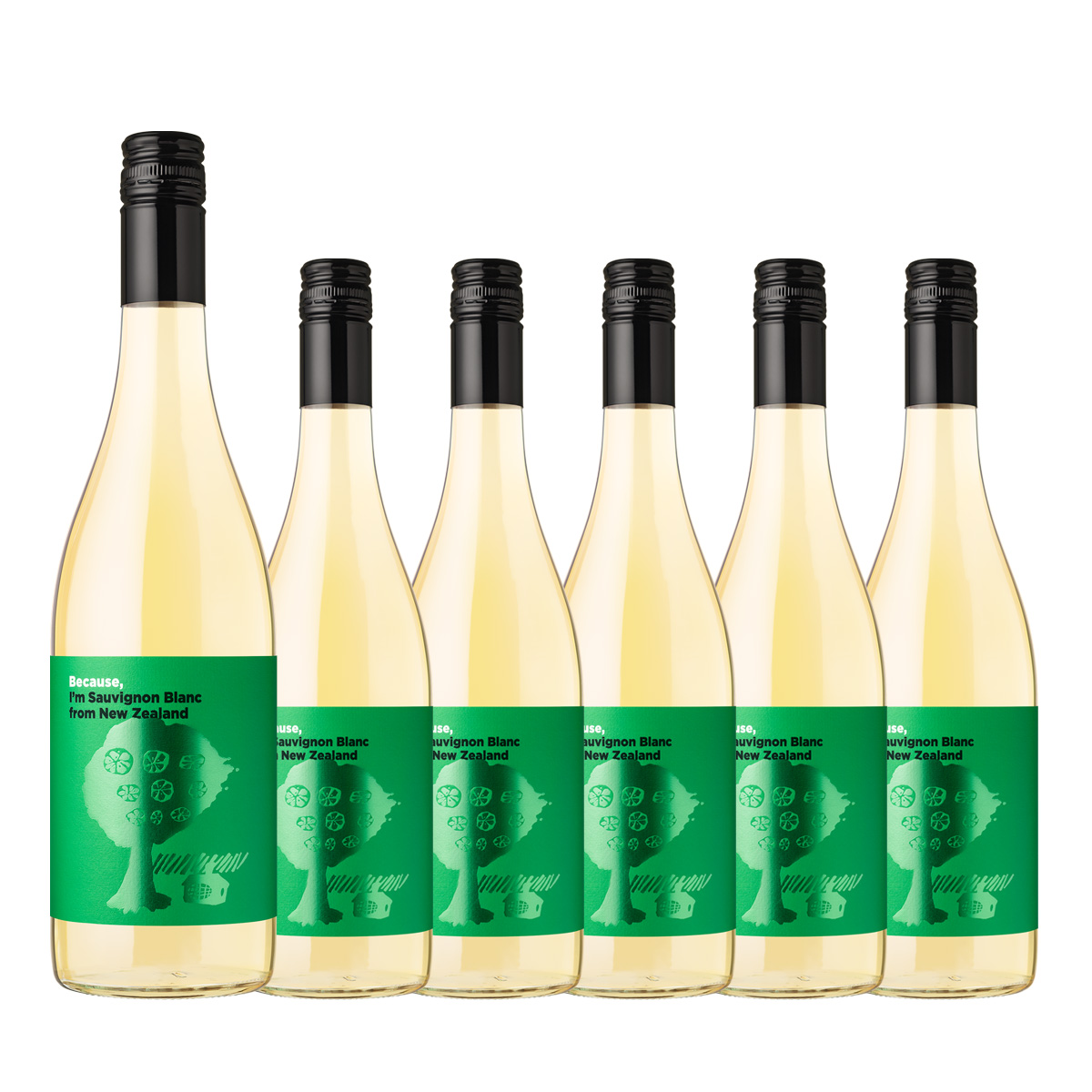【お買い得な6本パック 30%OFF♪】『ビコーズワイン』ソーヴィ二ヨン・ブラン ニュージーランド(白750ml)