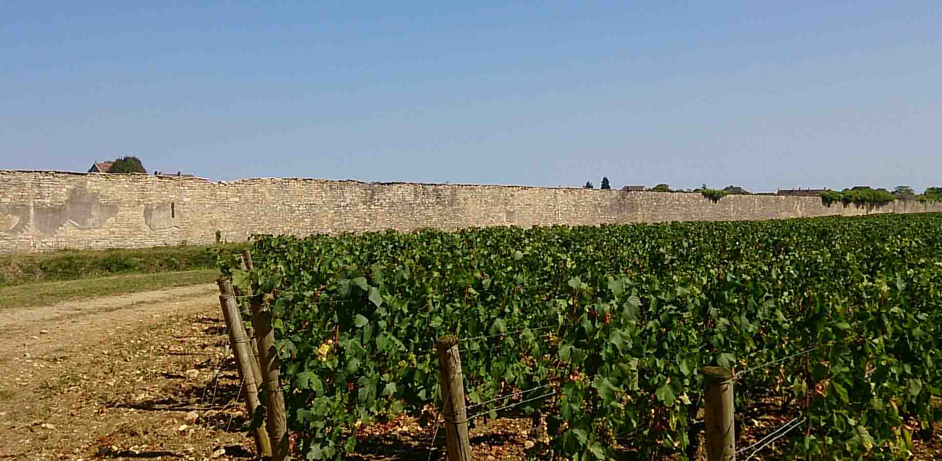 シャトー・ド・ムルソー