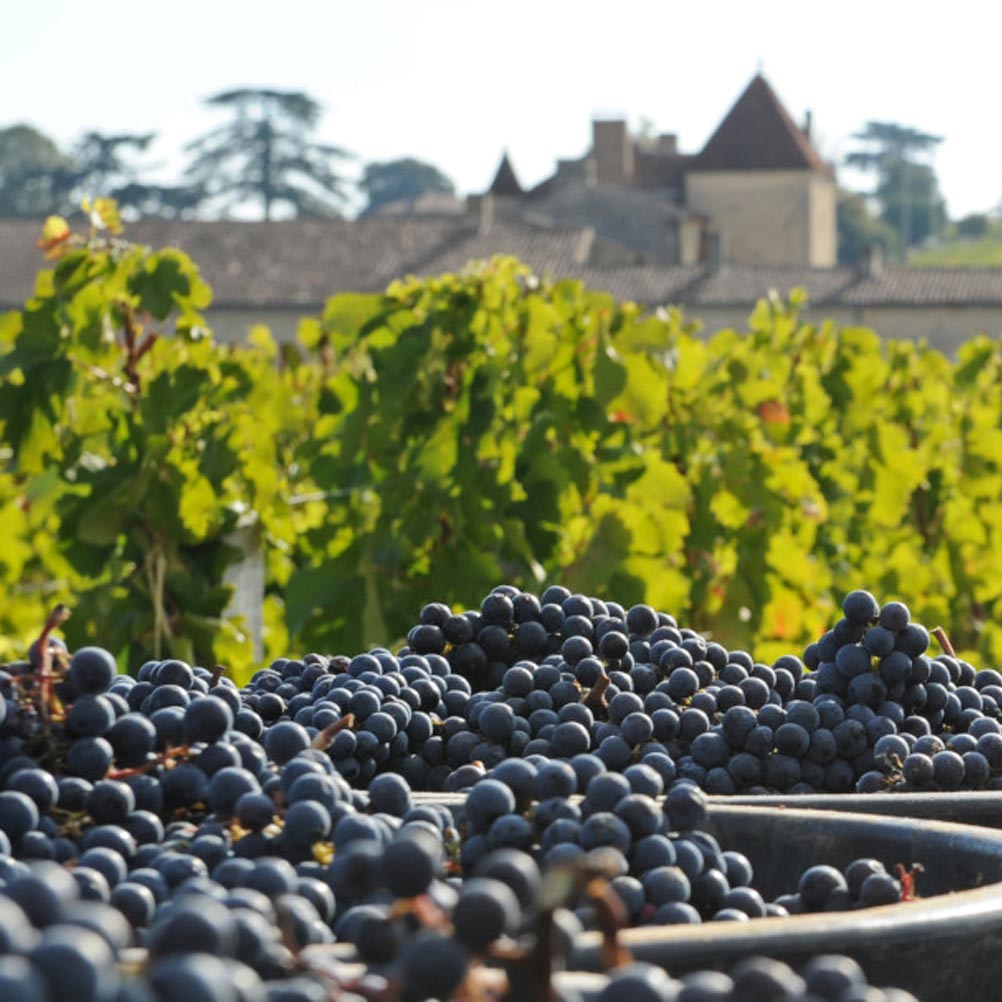 高級レストランでしかなかなか会うことのない最高級のワイン