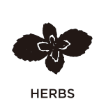 ハーブ