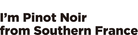 Because, I'm Pinot Noir from southern France