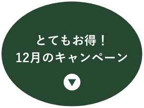 とてもお得!12月のキャンペーン