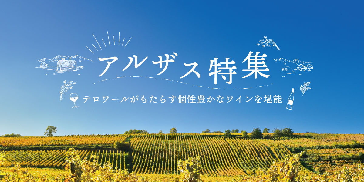 アルザス地方特集