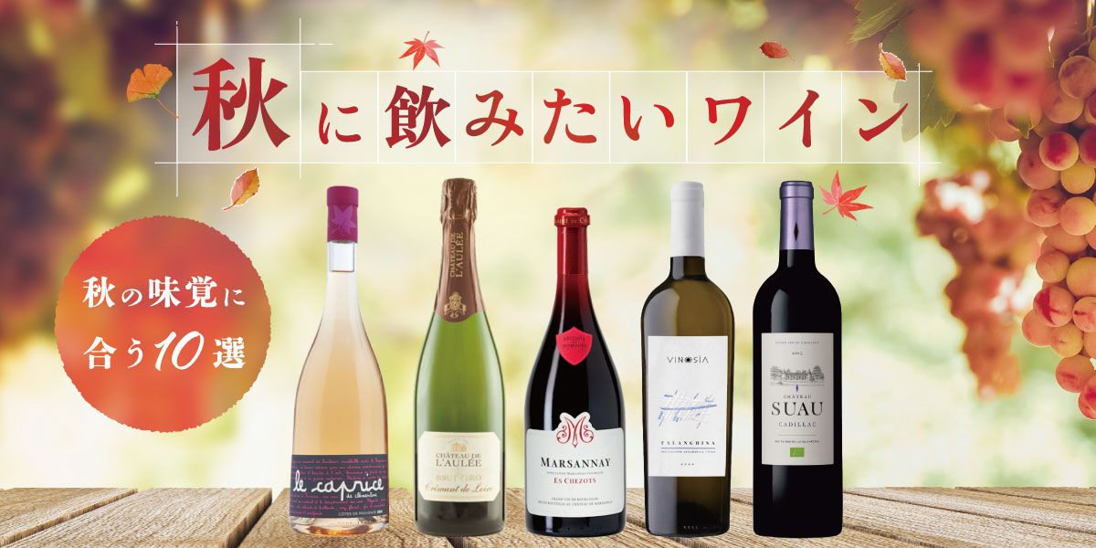 今月のおすすめワイン特集