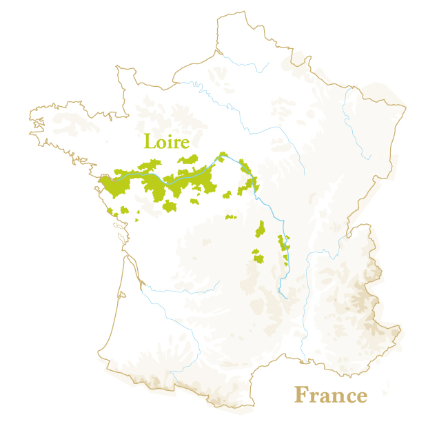 ワイン生産地「ロワール」