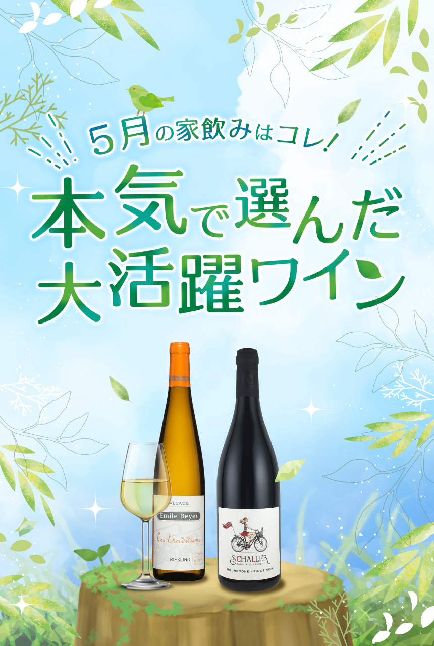 今月のおすすめワイン特集