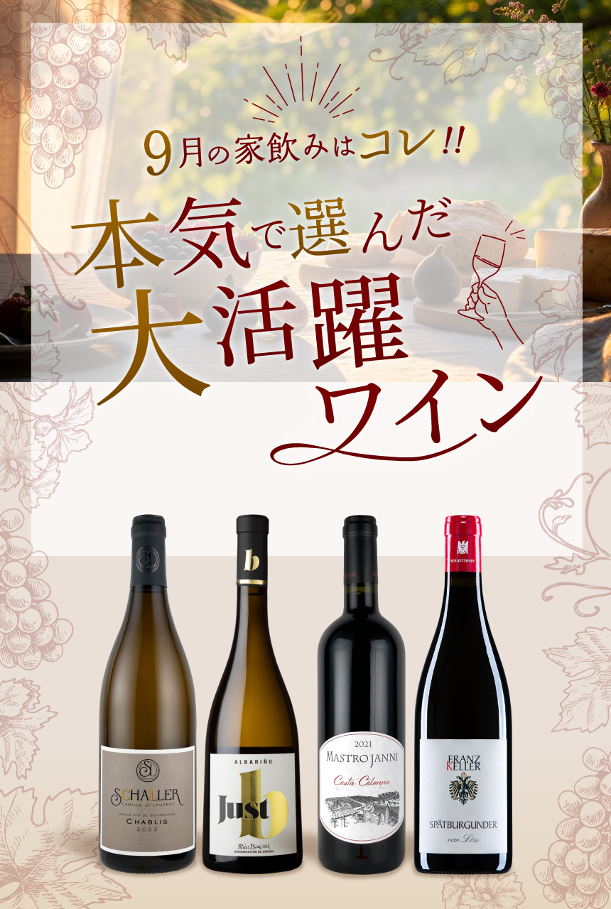 今月のおすすめワイン特集