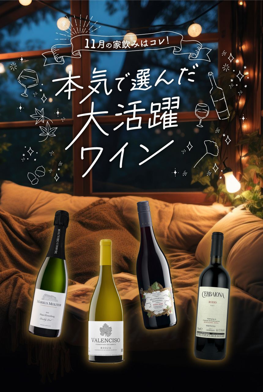 今月のおすすめワイン特集