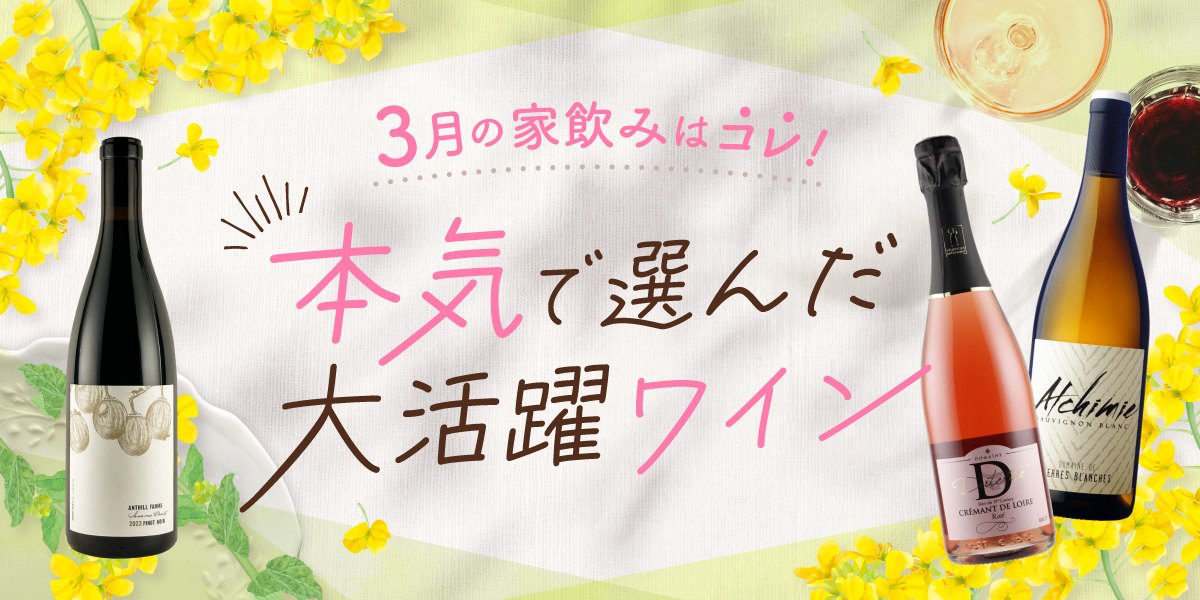 今月のおすすめワイン特集