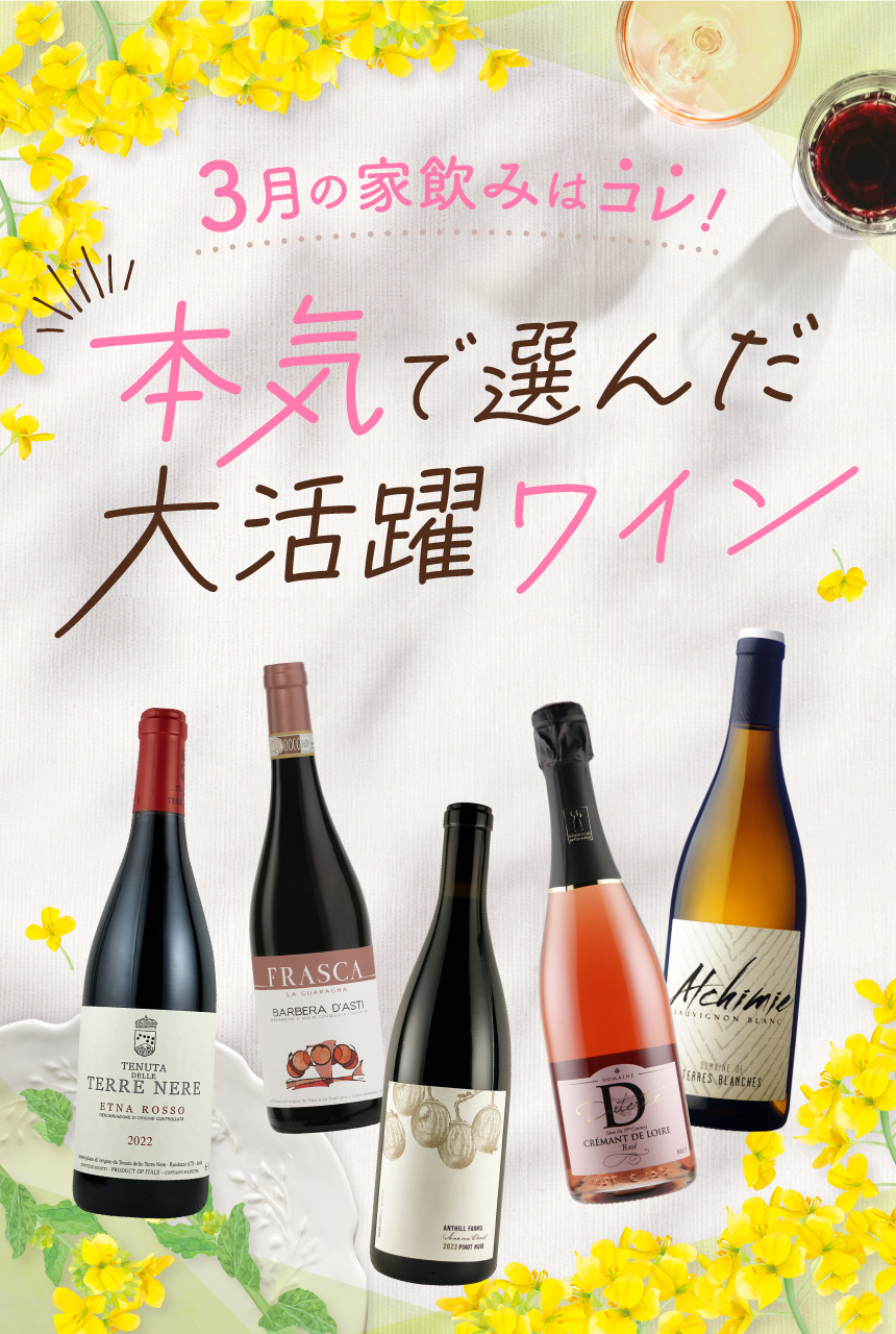 今月のおすすめワイン特集