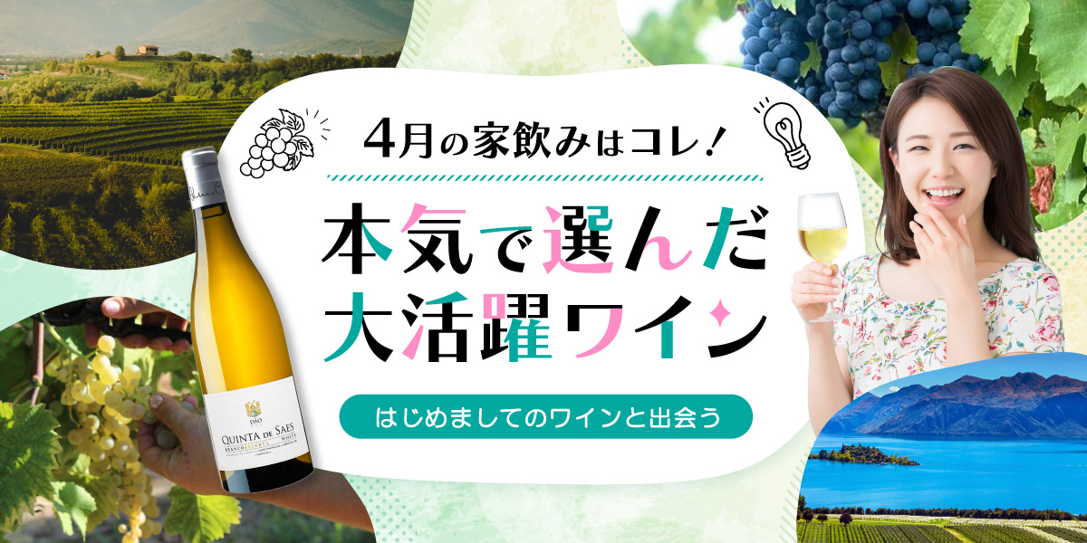 今月のおすすめワイン特集