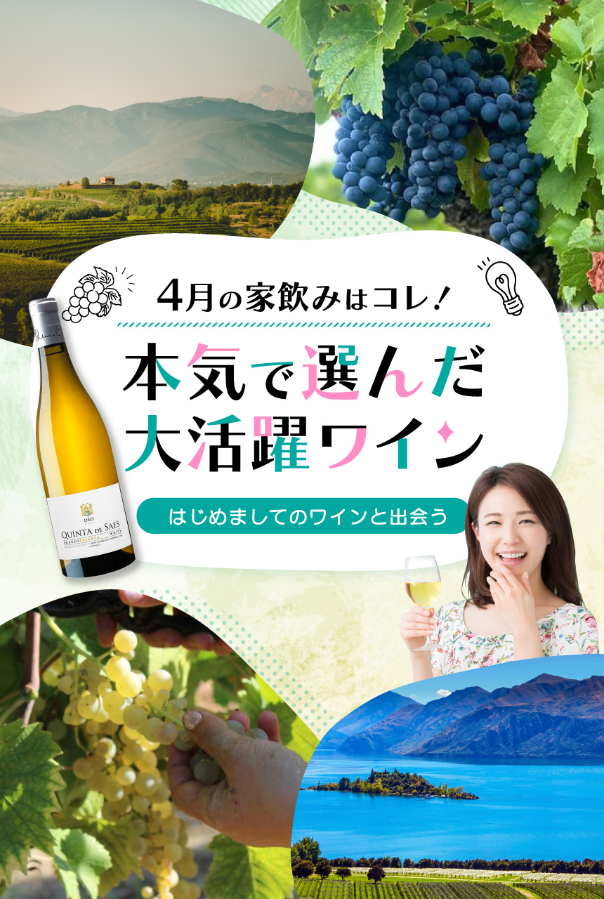 今月のおすすめワイン特集