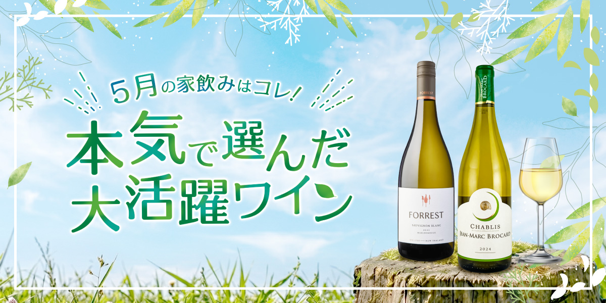 今月のおすすめワイン特集
