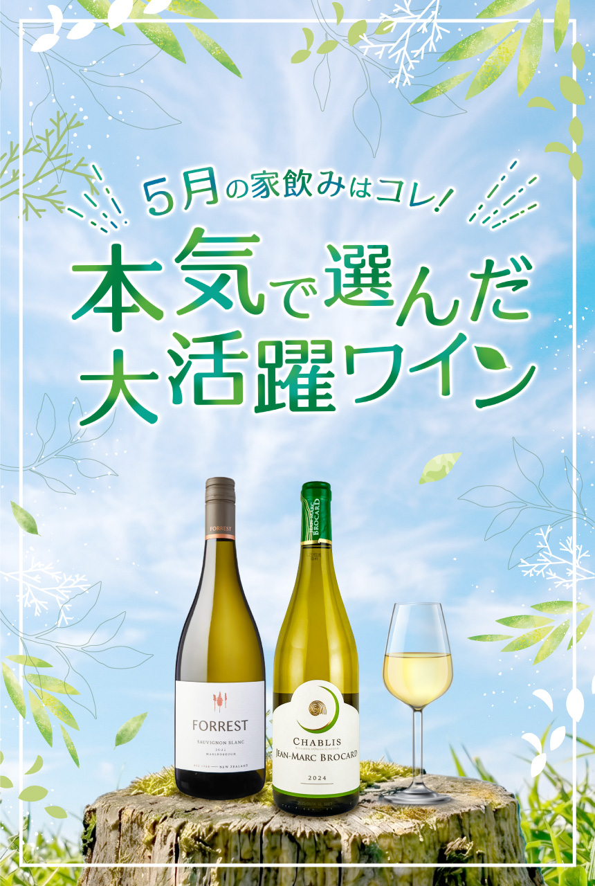 今月のおすすめワイン特集
