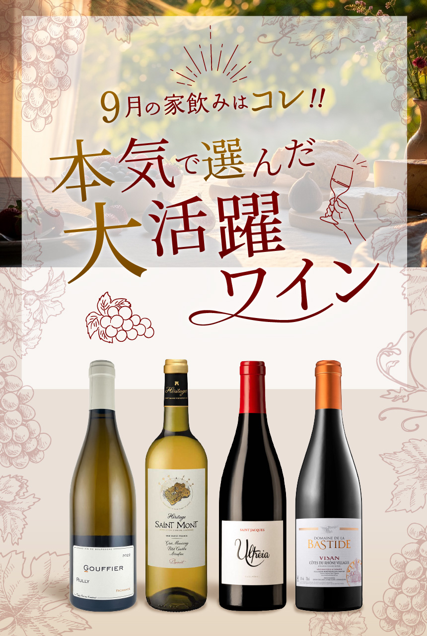 今月のおすすめワイン特集