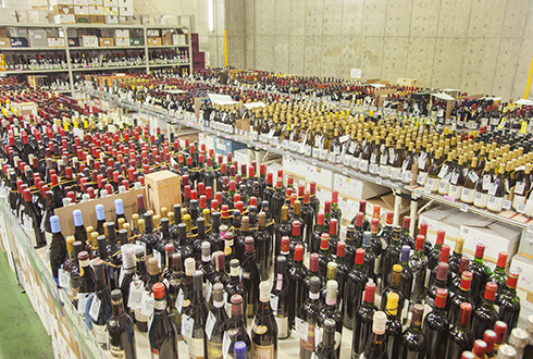 フィラディスセラー内