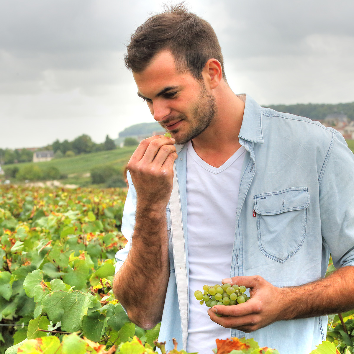 ドント・グルレ/Dhondt Grellet