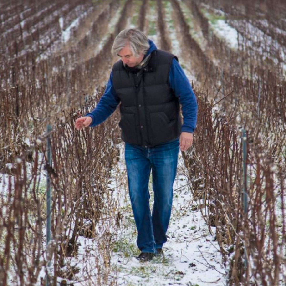 ジャン・ルイ・ヴェルニョン/Jean Louis Vergnon