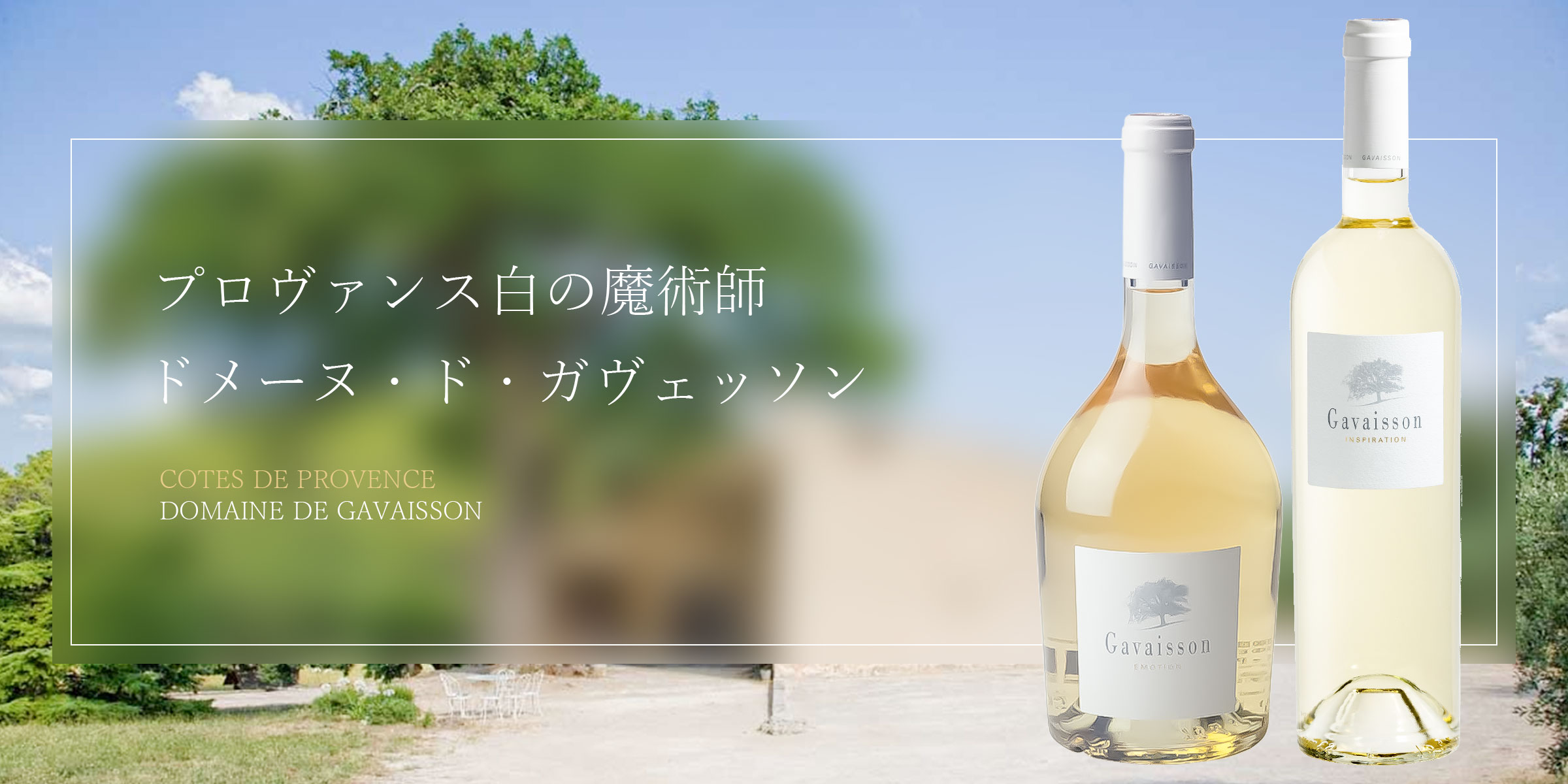 プロヴァンス最上の白と評されるドメーヌ・ド・ガヴェッソン