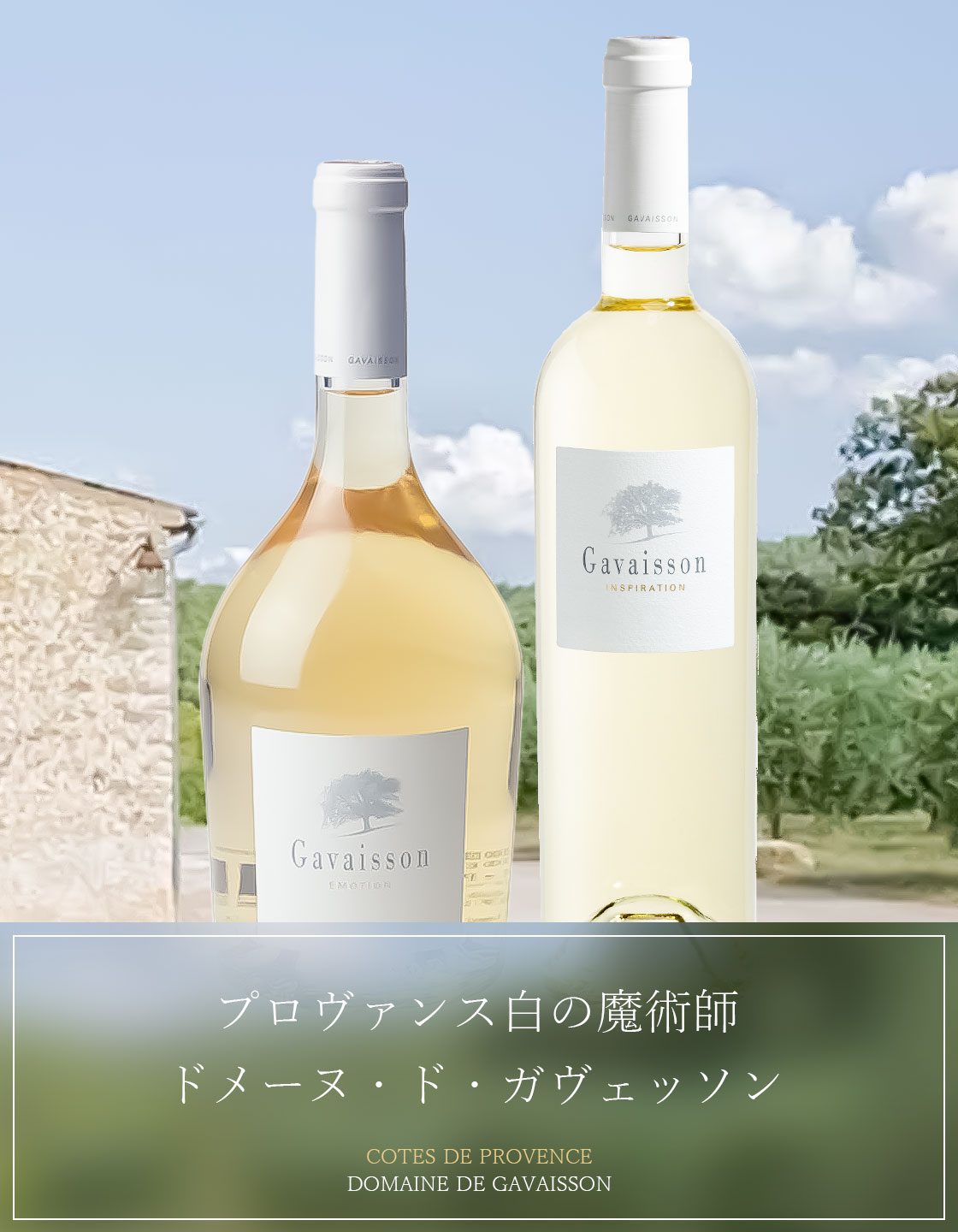 プロヴァンス最上の白と評されるドメーヌ・ド・ガヴェッソン