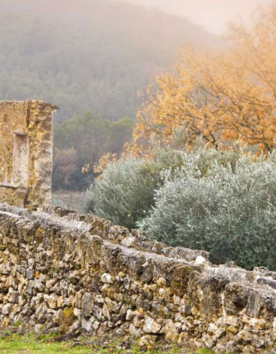 ドメーヌ・ド・ガヴェッソン