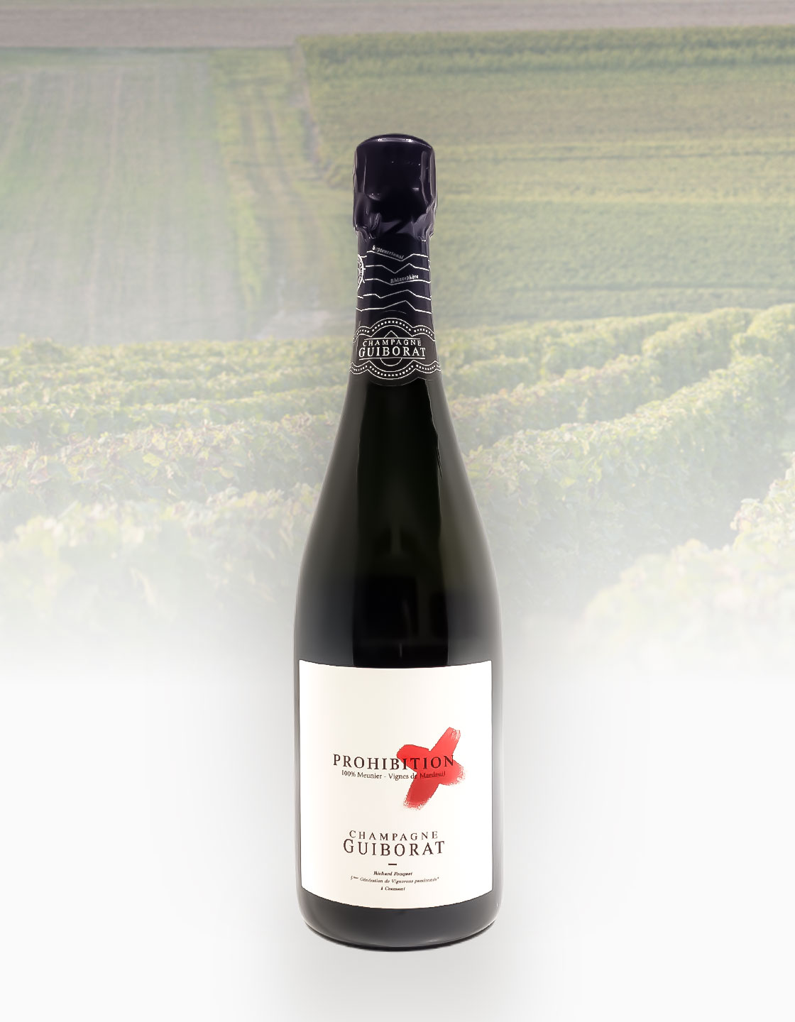 ギボラ プロヒビション N.V.