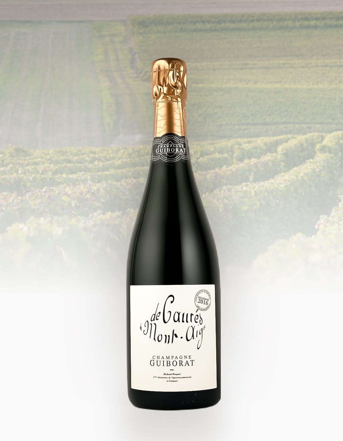 ギボラ ド・コレ・ア・モン・テギュ 2017年