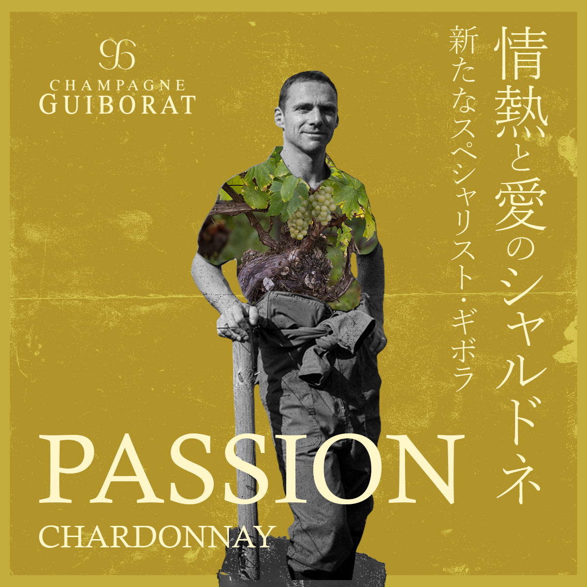 現地の有名ワインショップが猛プッシュする、新たなスペシャリスト・ギボラ。