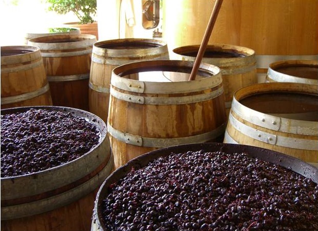 世界のワイン産地を知ろう！！：Firadis WINE GLOBE　第2回