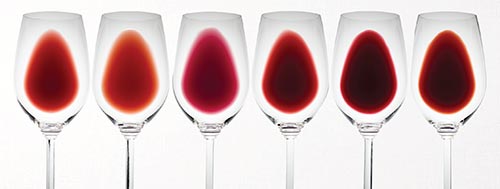 ワインのテイスティングについて その7 ワインはじめて講座 フィラディスワインコラム