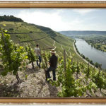 最も美しいワイン産地の風景はどこか？