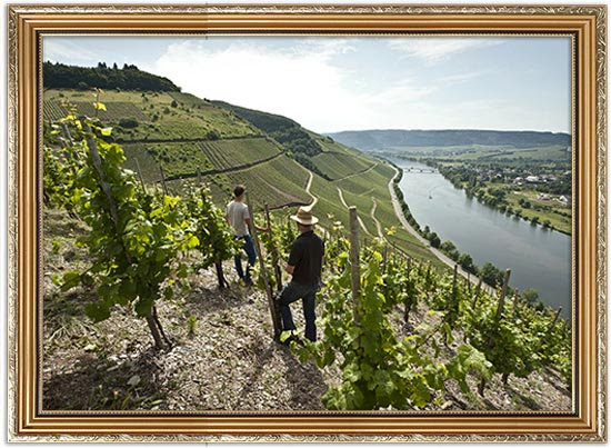 最も美しいワイン産地の風景はどこか？