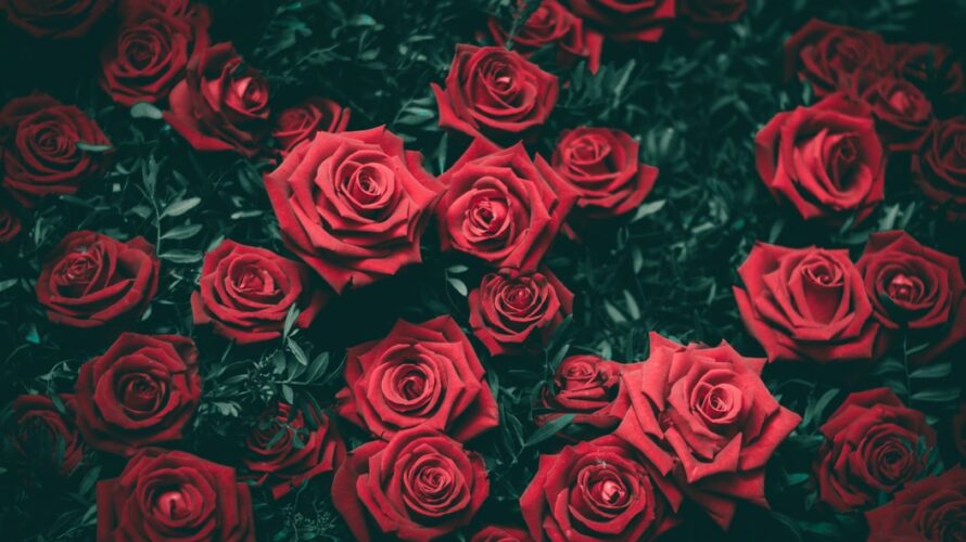 ワインボキャブラ天国【第79回】「薔薇の花」英：rose 仏：rose