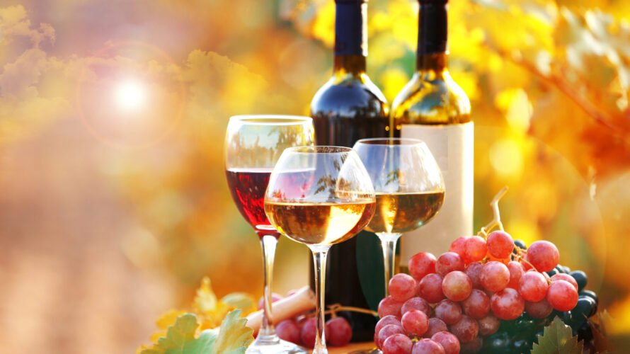 【ワインのある景色】ブドウ畑の一年に寄り添って【11月】