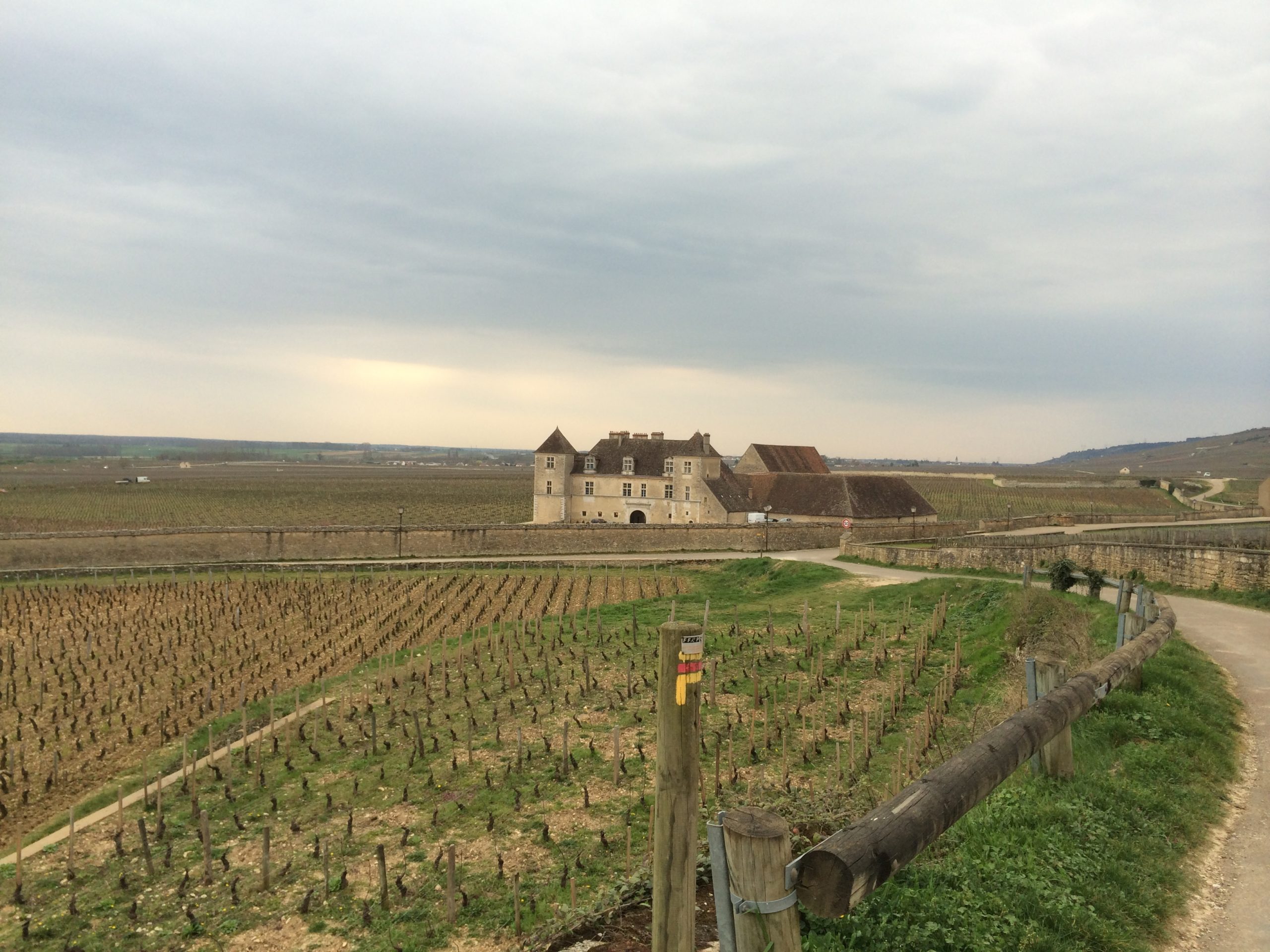 ブルゴーニュ出張報告 ～若手の躍進と、見直すべき一級畑の魅力 （営業 曽束 仁寿）