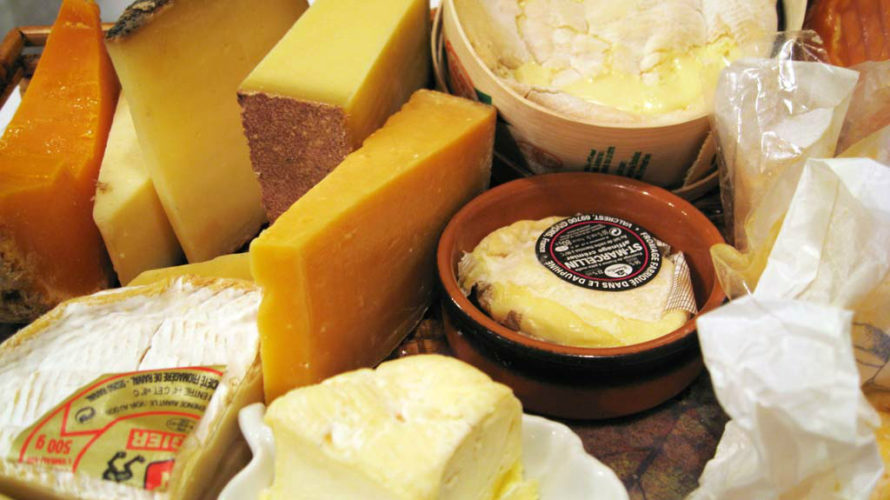 【フィラディス実験シリーズ第7弾】代表的なチーズに幅広く合う“汎用性の高いワイン”を探せ！（営業　笹井 涼乃）