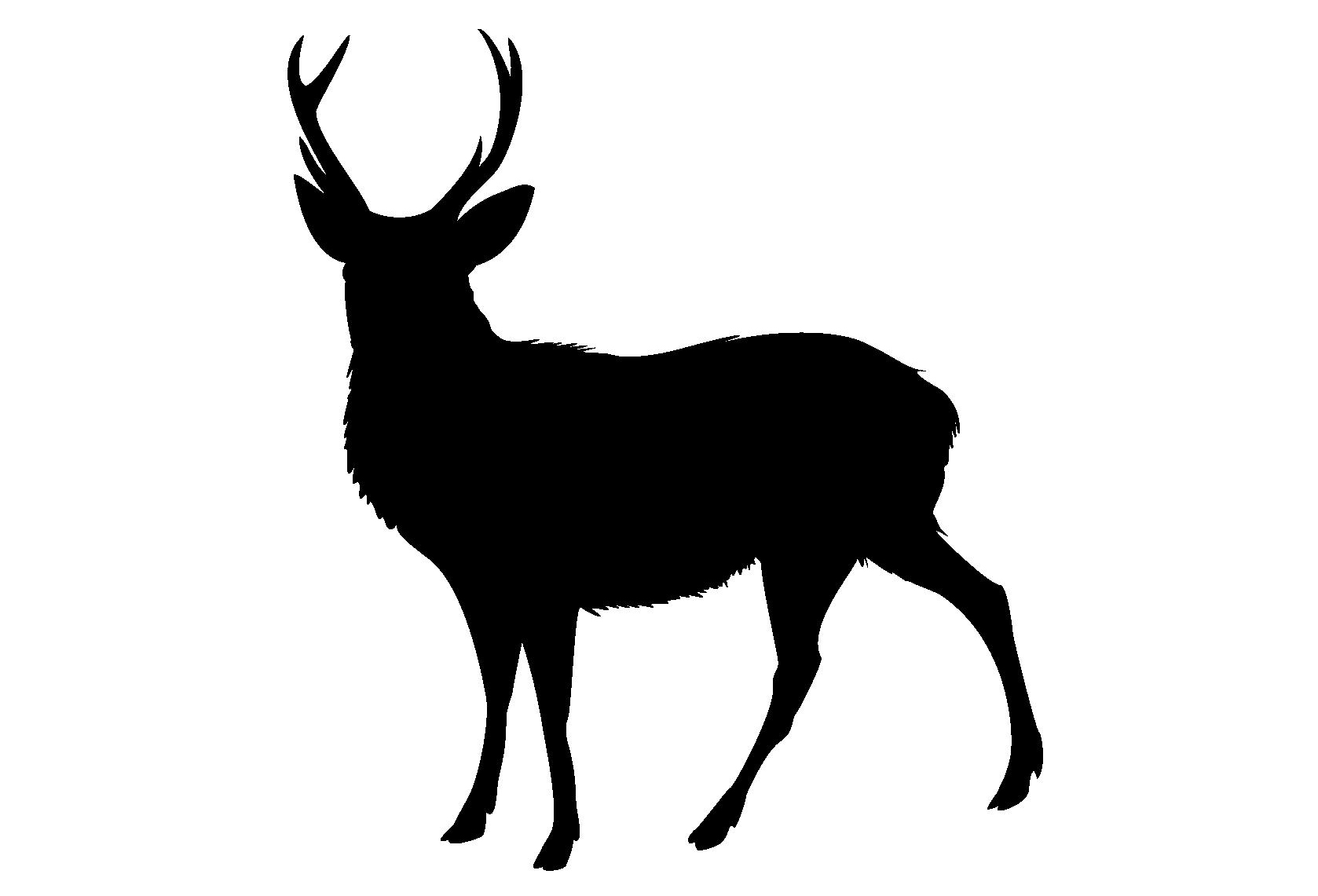 フィラディス実験シリーズ第11弾『シカ肉にマリアージュする赤ワインを徹底調査！』（営業　田中 琴音）