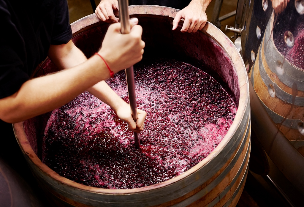 【醸造工程を識る】第2弾 ： フィルター（バイイングアシスタント　谷川 涼介）