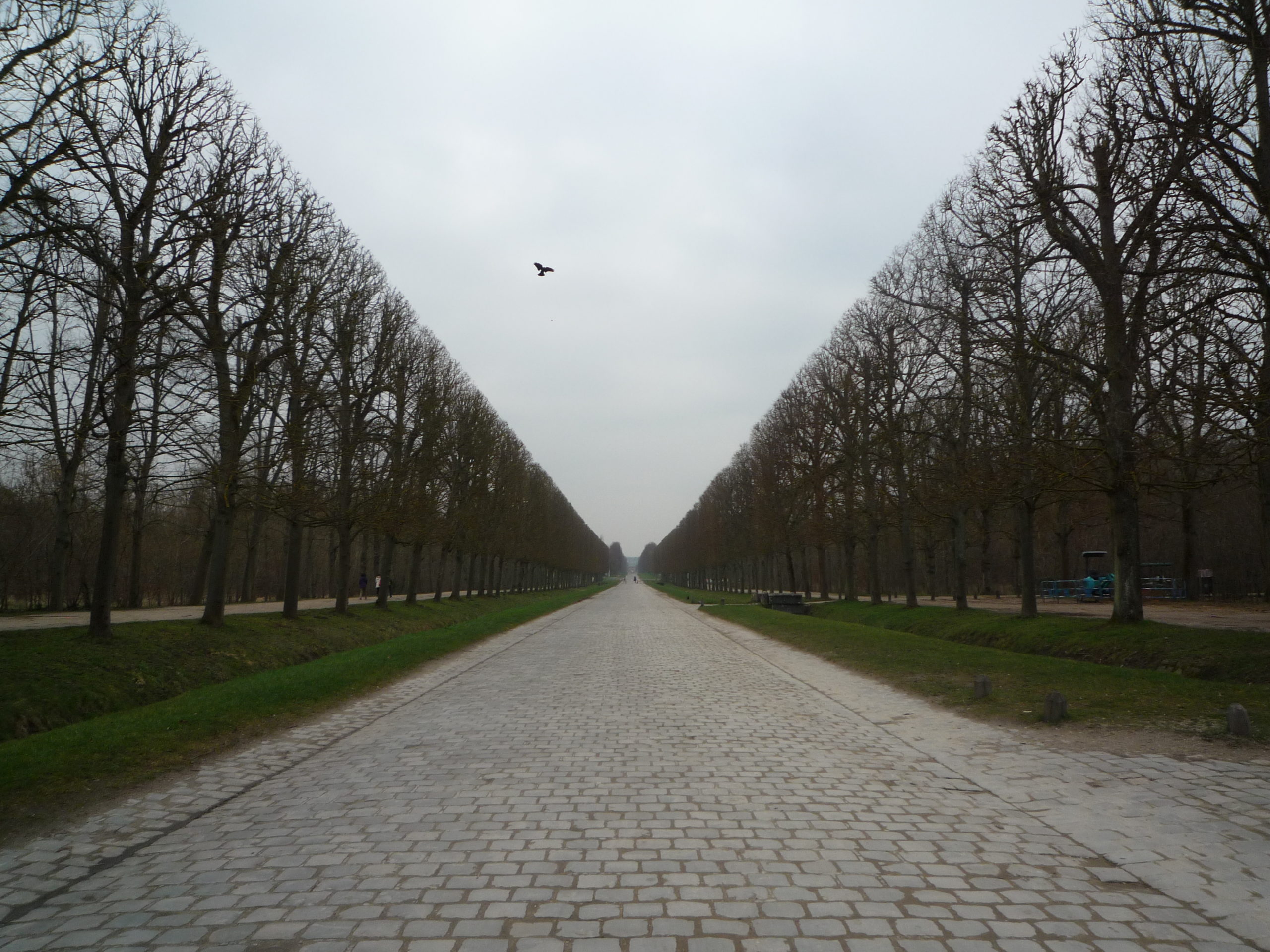 世界各地のワイナリーに聞く、新型コロナウイルスのインパクトとは？（広報　浅原有里）