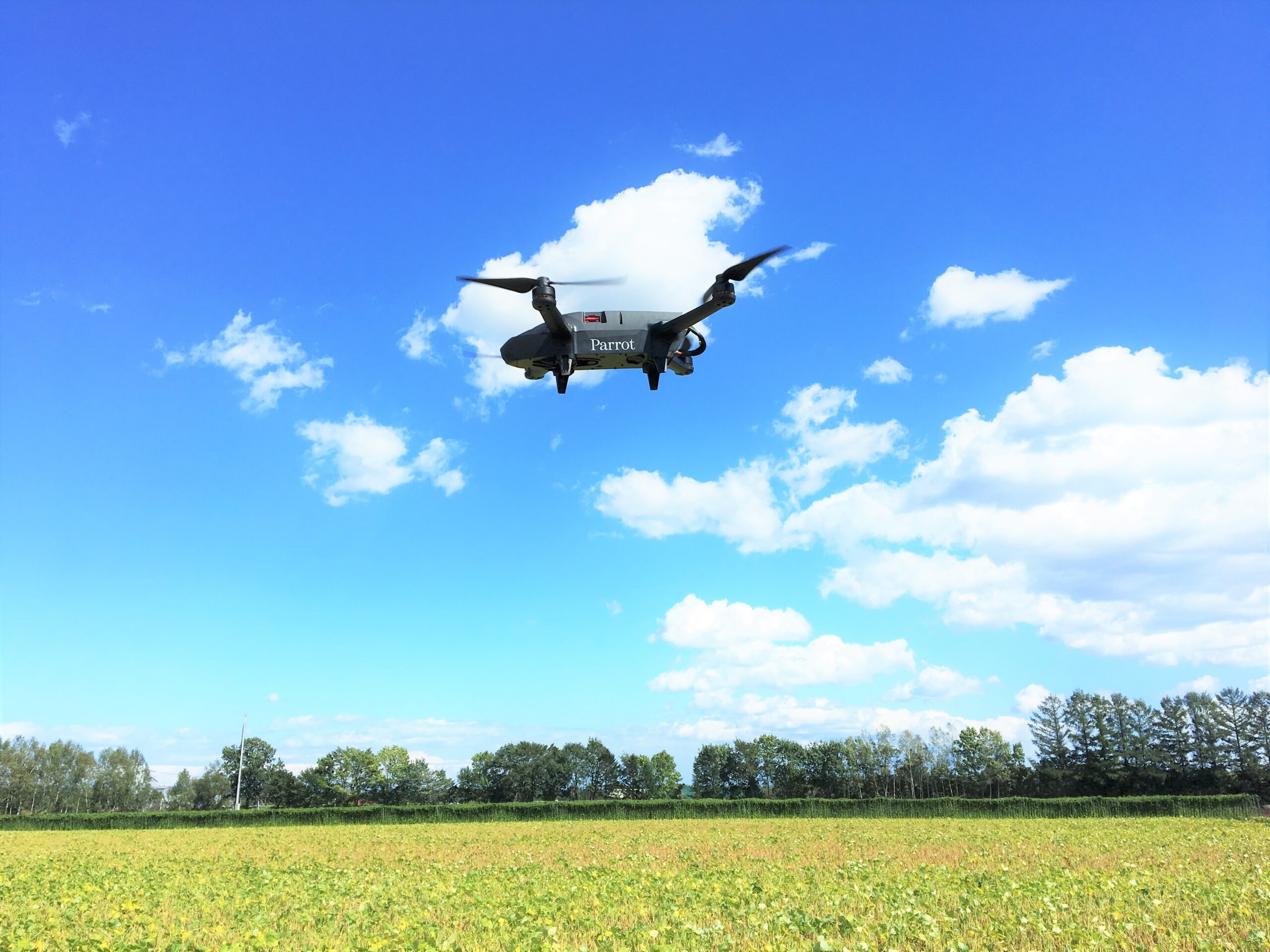 ドローンワイン