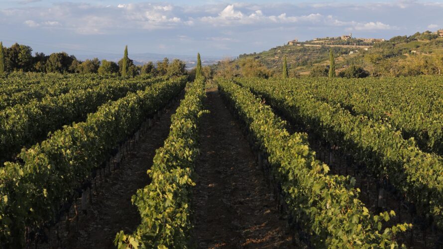 気候変動とワイン造り～ADVICLIMが示すブドウ栽培の未来③～  末冨春菜