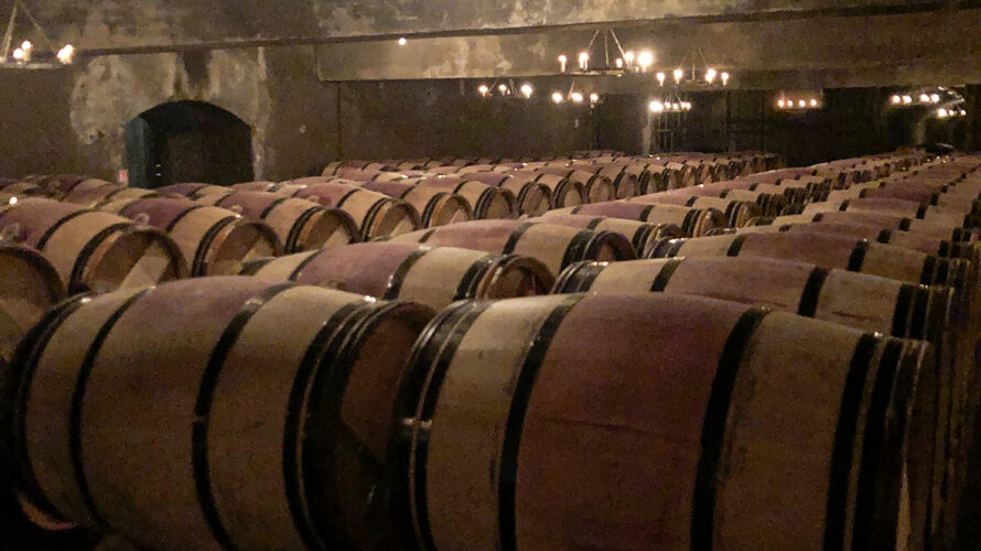 乳酸菌とワインの関わり－マロラクティック発酵を探る。 （ソムリエ　織田 楽さん寄稿）