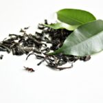 亜硫酸塩を緑茶に置き換えるワイナリーの取り組み