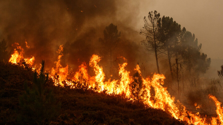 猛威を振るう山火事、スペインとポルトガルのブドウ畑を脅かす