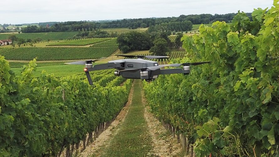 ドローンがぶどう畑の作業を効率化