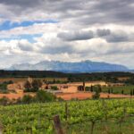 スペインのスパークリングワイン革命